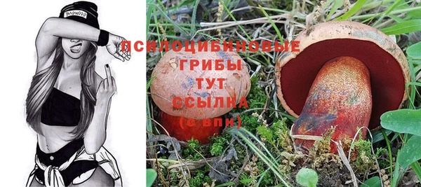 гидропоника Алзамай