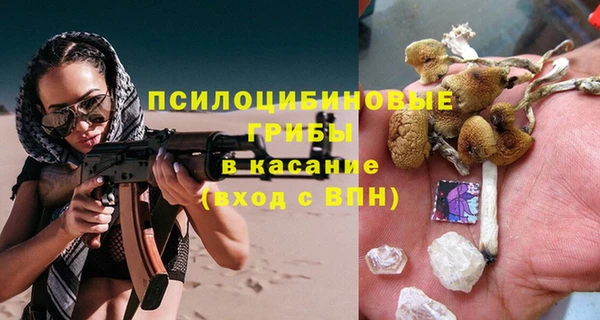 спайс Арсеньев