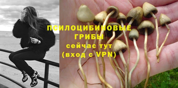 прущий лед Аркадак