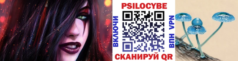 Галлюциногенные грибы мицелий  Купить  Томмот 