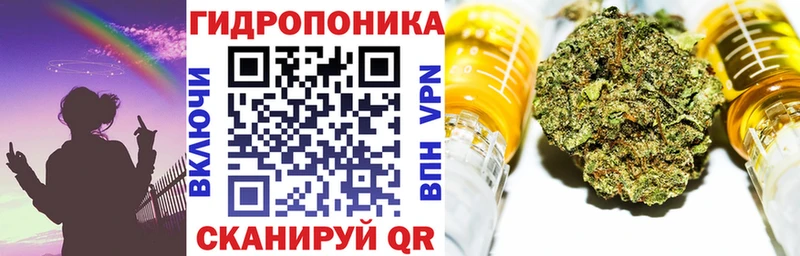 Бошки Шишки планчик  Купить где  Томмот 